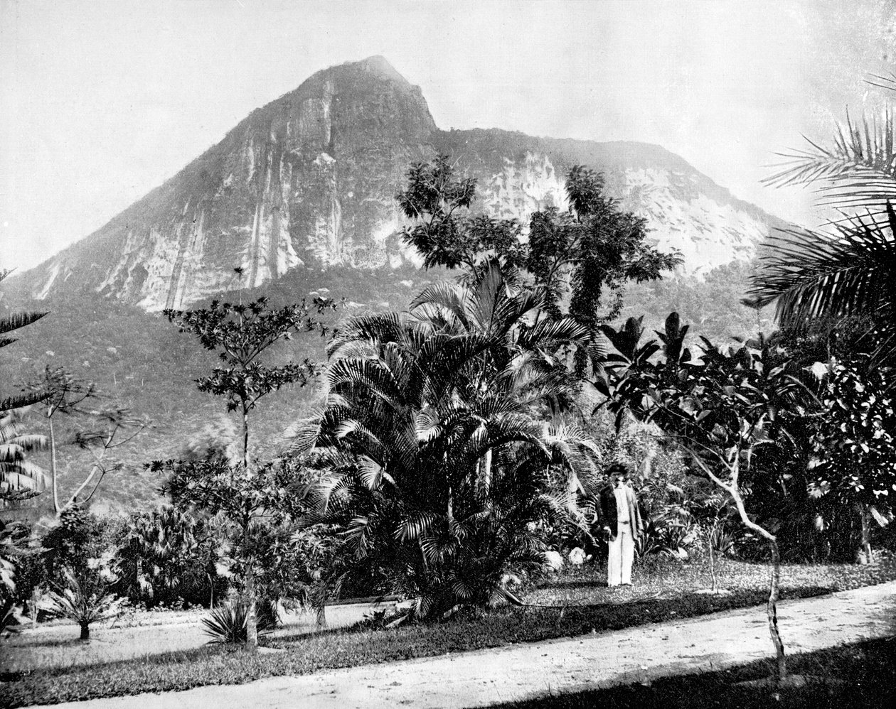 Botaniska trädgården och berget Corcovado, Rio de Janeiro, Brasilien, 1893. av John L. Stoddard