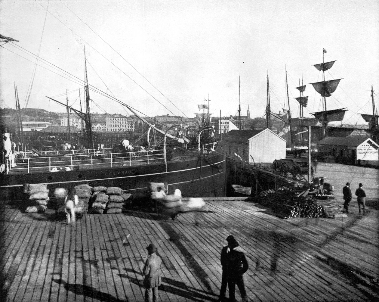 Hamnen i Auckland, Nya Zeeland, 1893. av John L. Stoddard