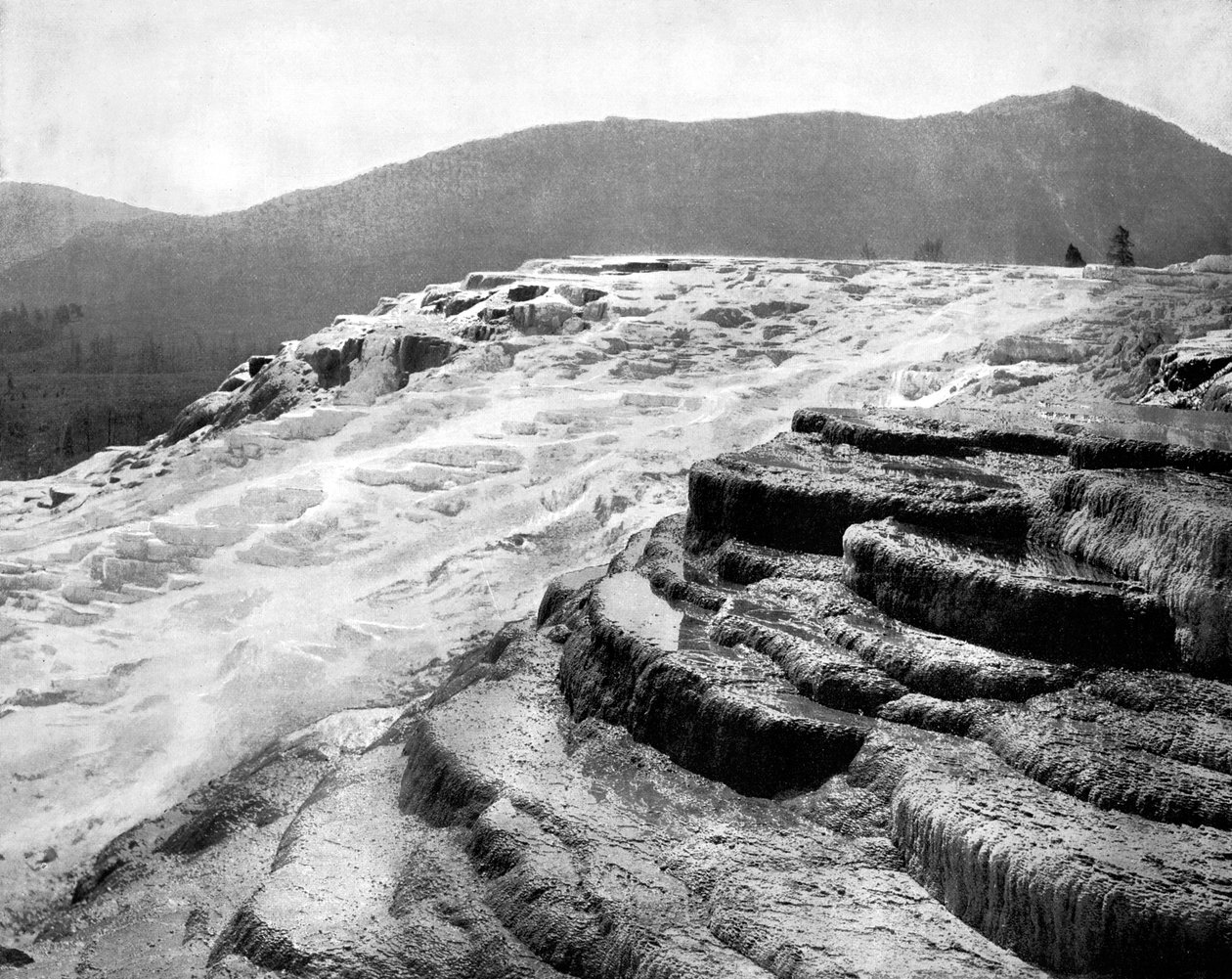 Mammoth Hot Springs, Yellowstone National Park, USA, 1893. av John L. Stoddard