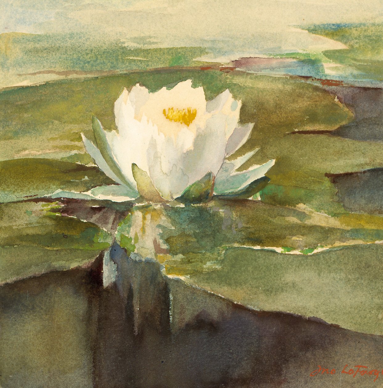 Näckros i solljus, ca. 1883. av John La Farge