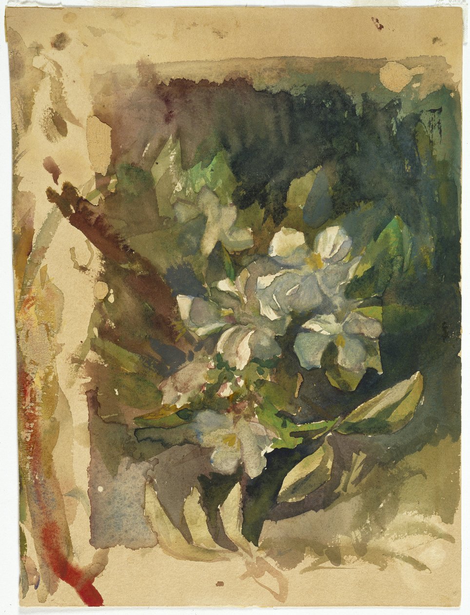 Äppelblommor i solljus (wc på papper) av John La Farge or Lafarge