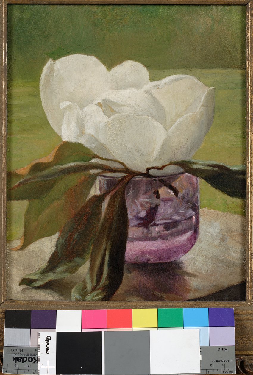 Magnolia Blossom av John La Farge or Lafarge