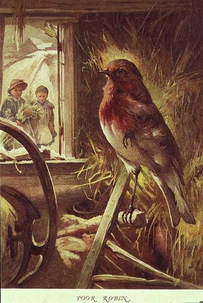 Stackars Robin, illustration från "Childhood Valley" skriven av Paul Lawson av John Lawson