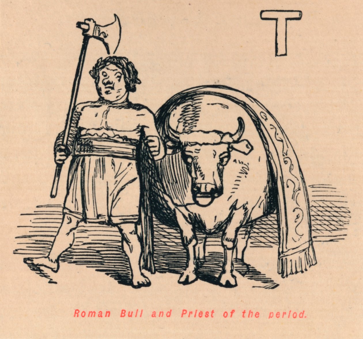 Romersk tjur och periodens präst, 1852 av John Leech