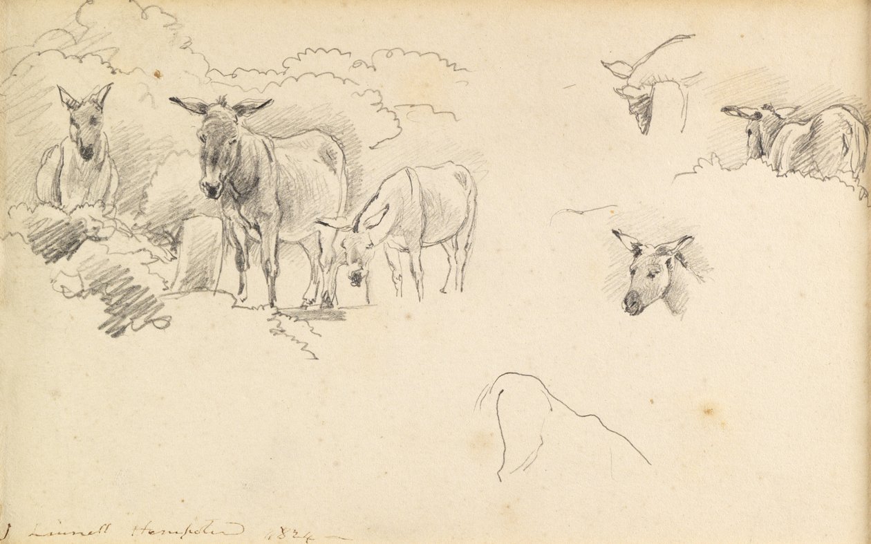 Åsnor, 1824 av John Linnell