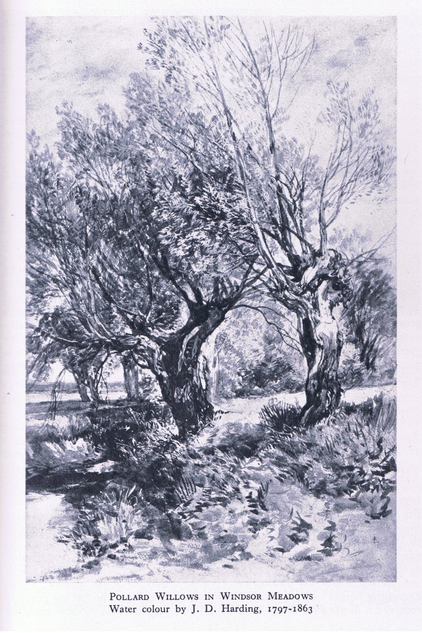 Woodcutters i utkanten av Windsor Forest, Nature in Britain utgiven av Collins av John Linnell