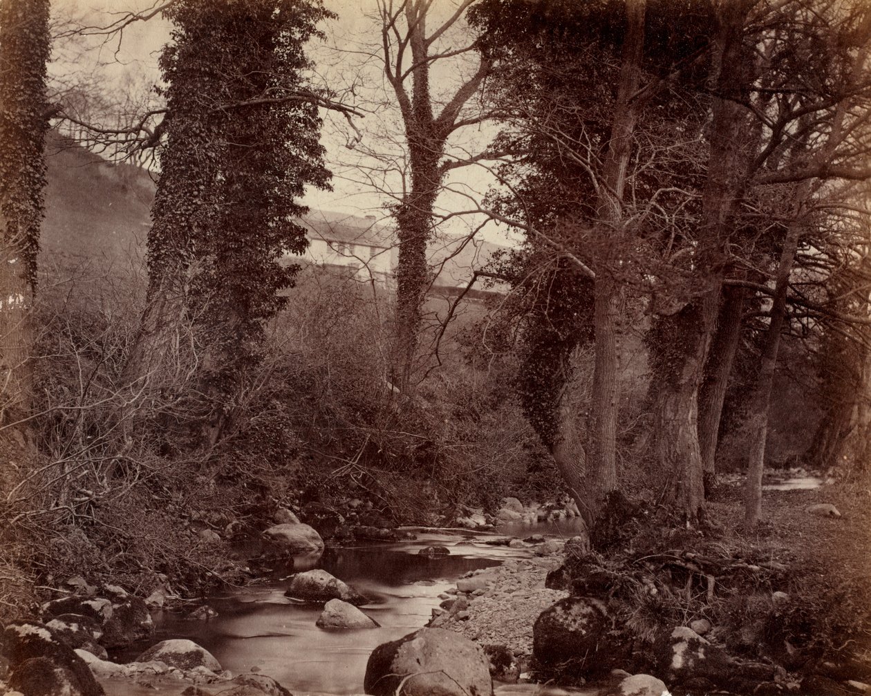 Utan titel, c. 1859. av John Lloyd