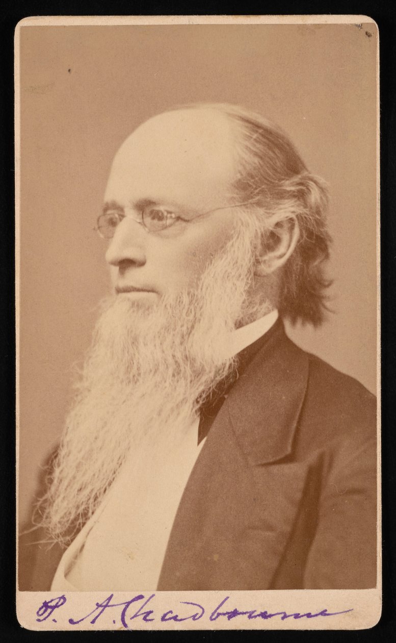 Porträtt av Paul Ansel Chadbourne 1823-1883, mellan 1872 och 1875. av John Lyman Lovell