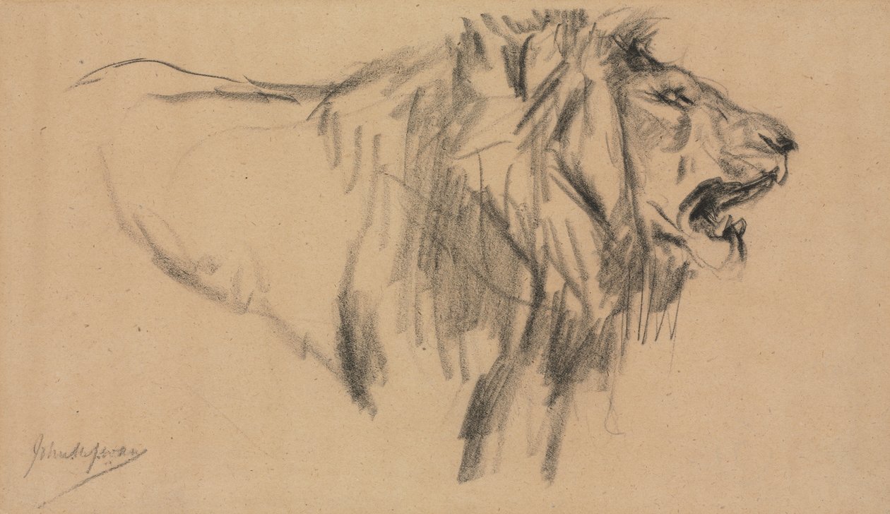 Lejon. av John Macallan Swan