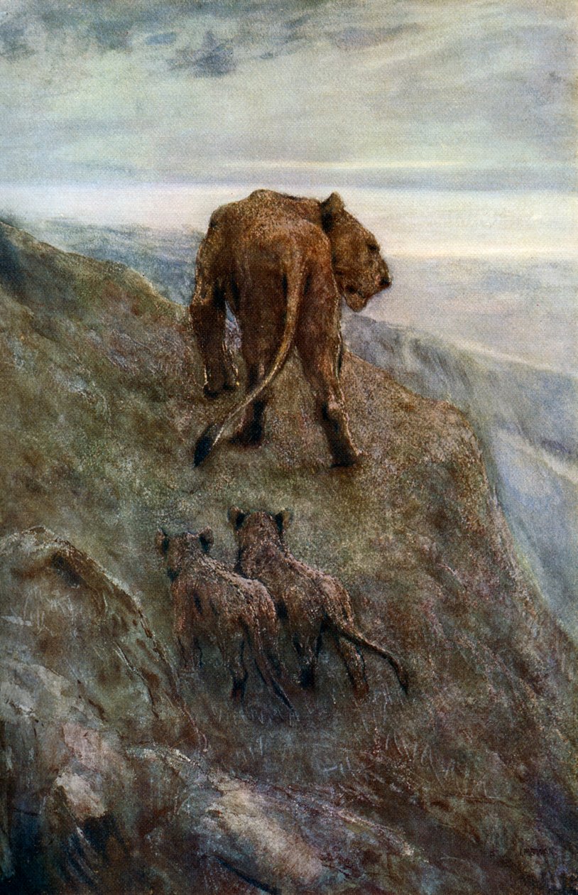 På beredskap - Lejoninna och ungar, c1878-1910, 1912. av John Macallan Swan
