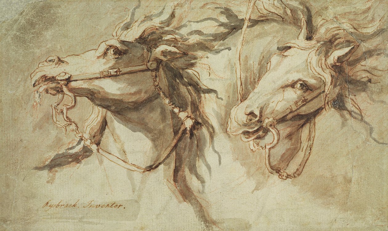 Två hästhuvuden (penna, bläck och tvätt med rödkrita på buffpapper) av John Michael Rysbrack