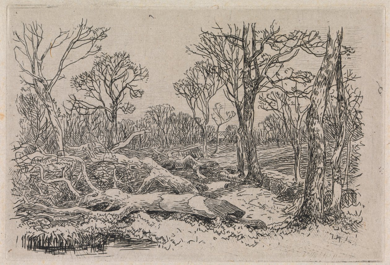 Avverkade timmer, Burningham av John Middleton