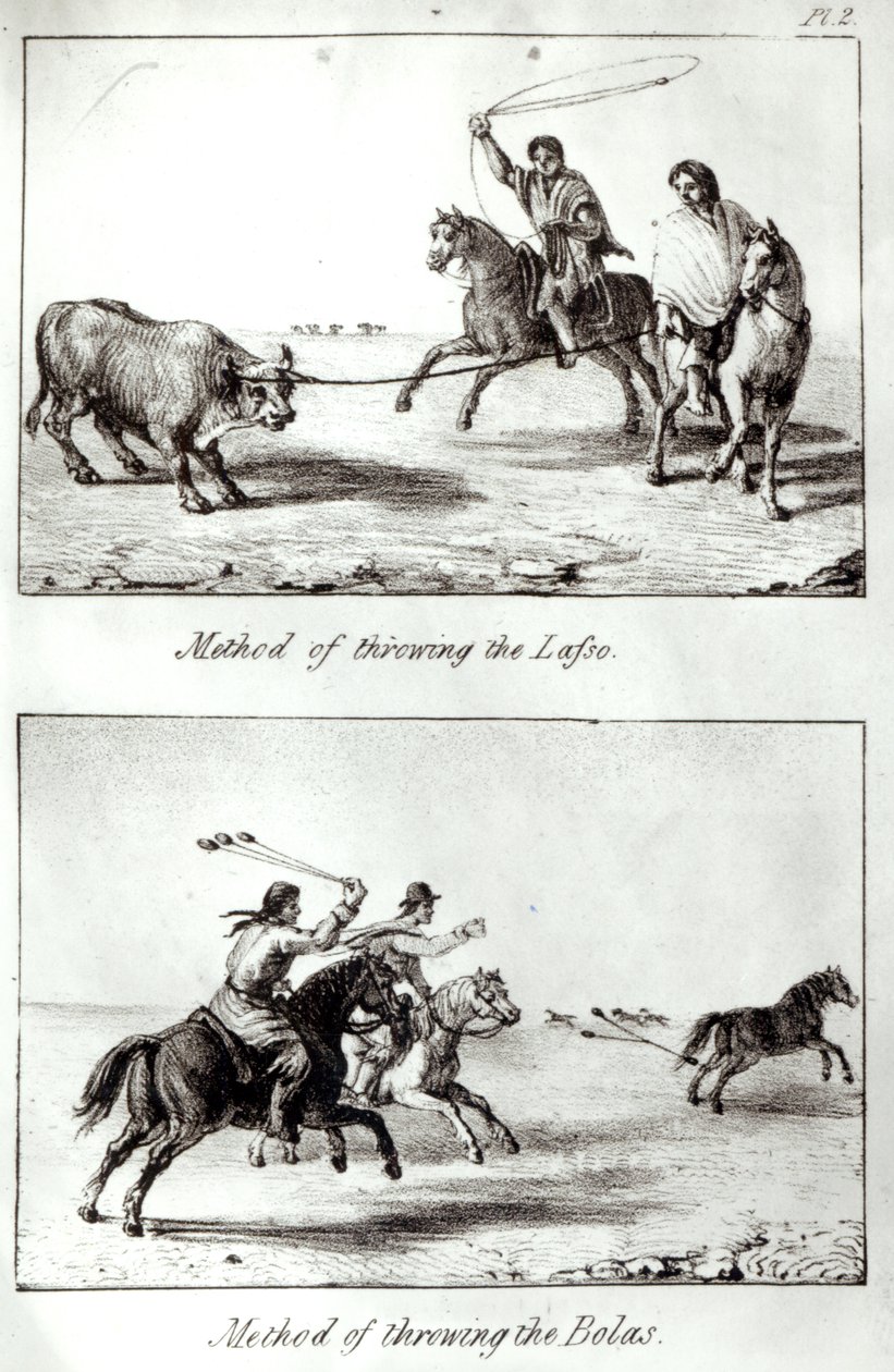 Metoder för att kasta Lasso och Bolas, från "Resor i Chile och La Plata" av John Miers, 1826 (litho) (bw foto) av John Miers