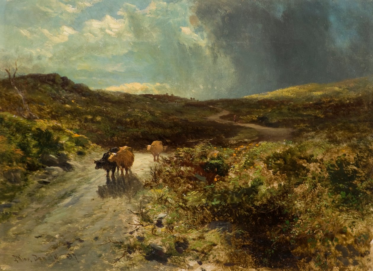Drivvägen av John Milne Donald