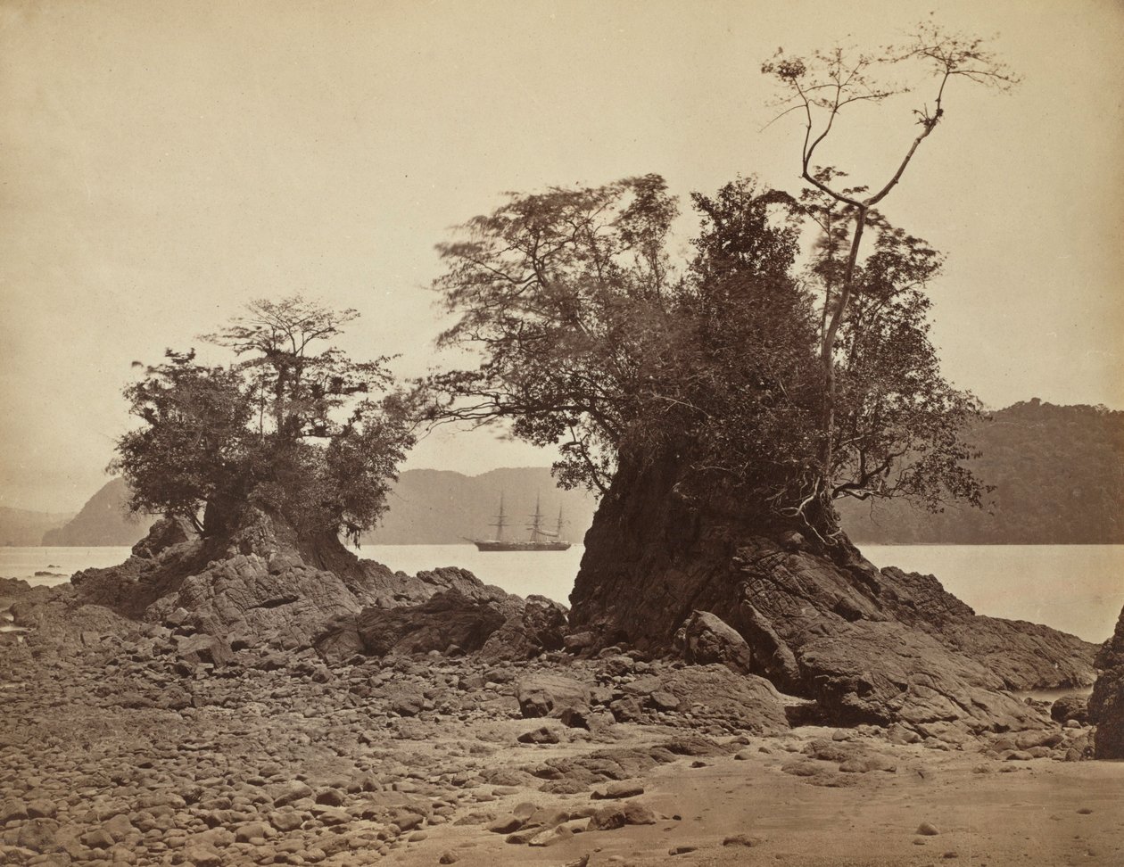 Öar i Lemon Bay, 1871. av John Moran