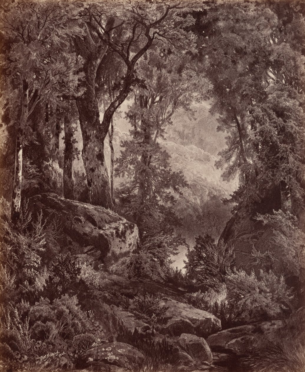 Solitude,1865 (foto) av John Moran