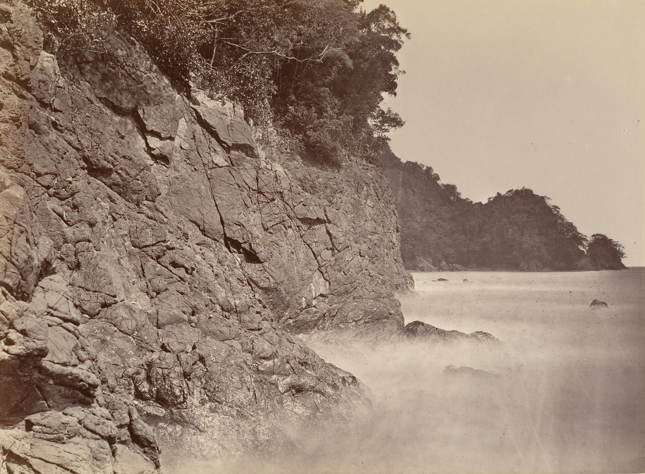 Tropiskt landskap, Cliff - Limon Bay, 1871. av John Moran