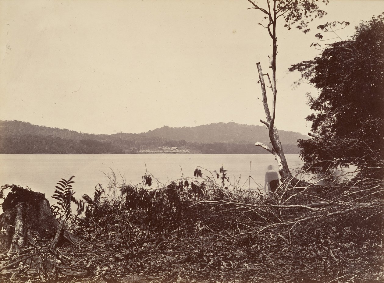 Tropiskt landskap, Darien Harbor, Chipigana, 1871. av John Moran