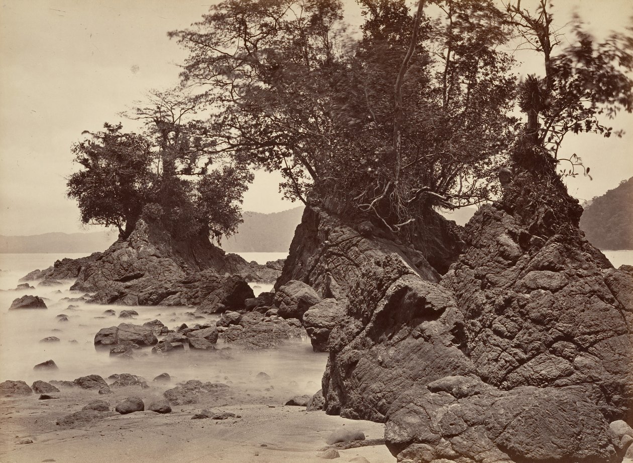 Tropiskt landskap, Limon Bay - lågvatten, 1871. av John Moran