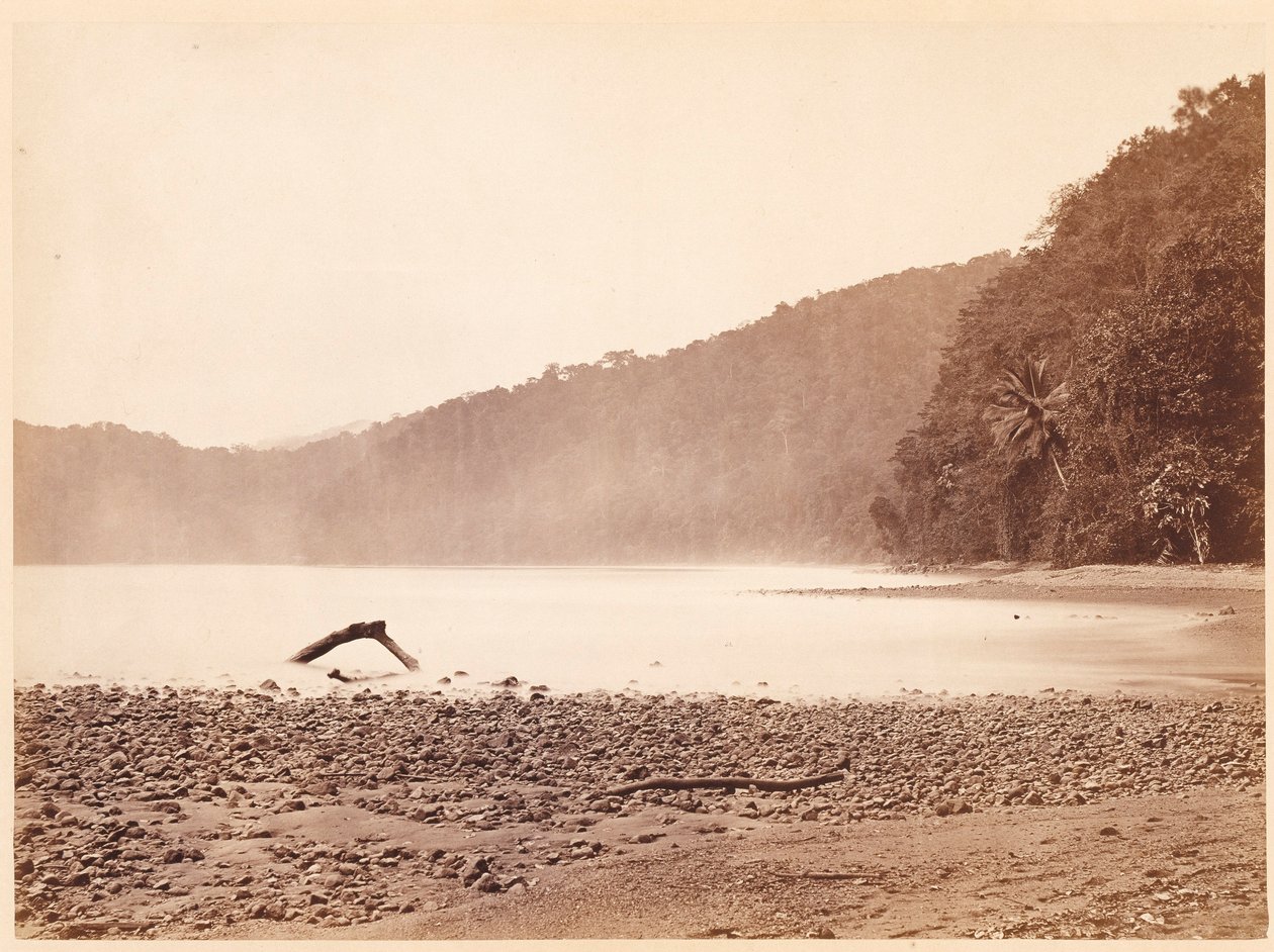Tropiskt landskap: Slutstationen för den föreslagna kanalen, Limon Bay (Darien Expedition) av John Moran