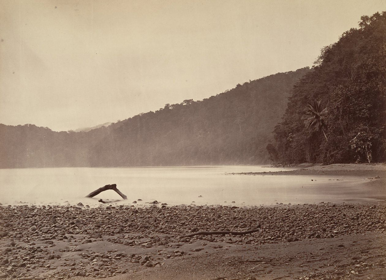 Tropiskt landskap, ändan av den föreslagna kanalen, Limon Bay, 1871. av John Moran