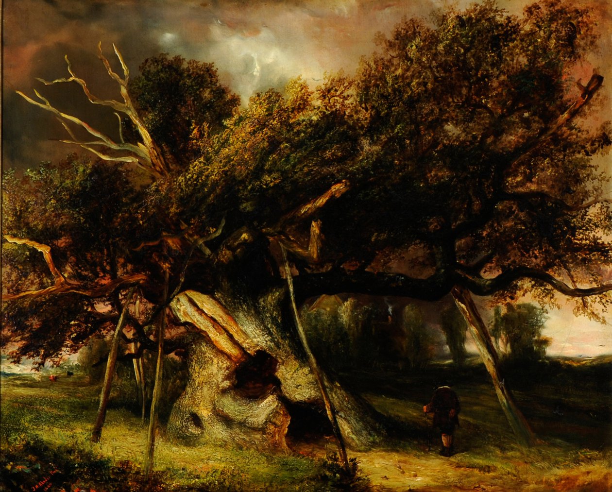 Cowthorpe Oak av John Nicholas Rhodes