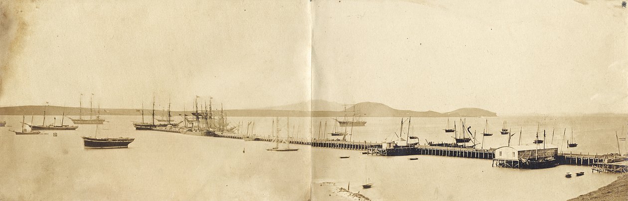 Auckland Harbour, 1865 (albuminformat) av John Nicol Crombie