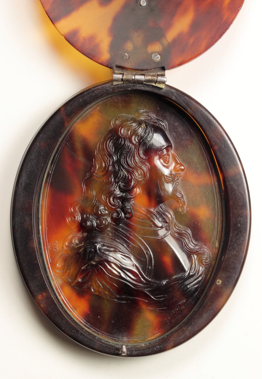 Charles I (sköldpadda) av John Obrisset