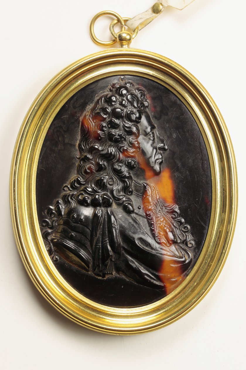 William III (sköldpadda) av John Obrisset