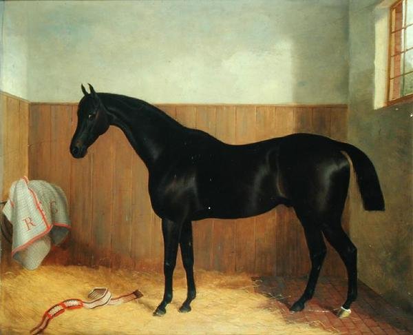 Tommy, Portrait of a Horse, ca 1870-talet (olja på duk) av John Paul