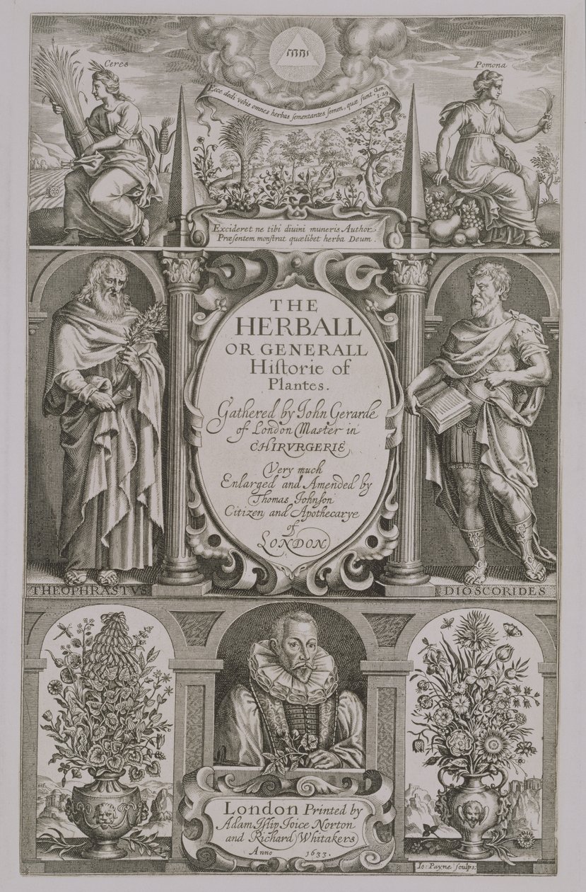 Titelsidan till den andra upplagan av The Herball av John Gerard (1564-1612) 1633 av John Payne