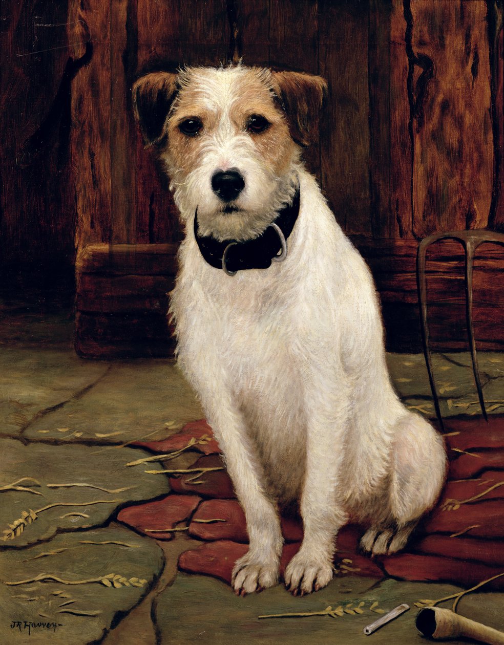 Porträtt av terrier av John Rabone Harvey
