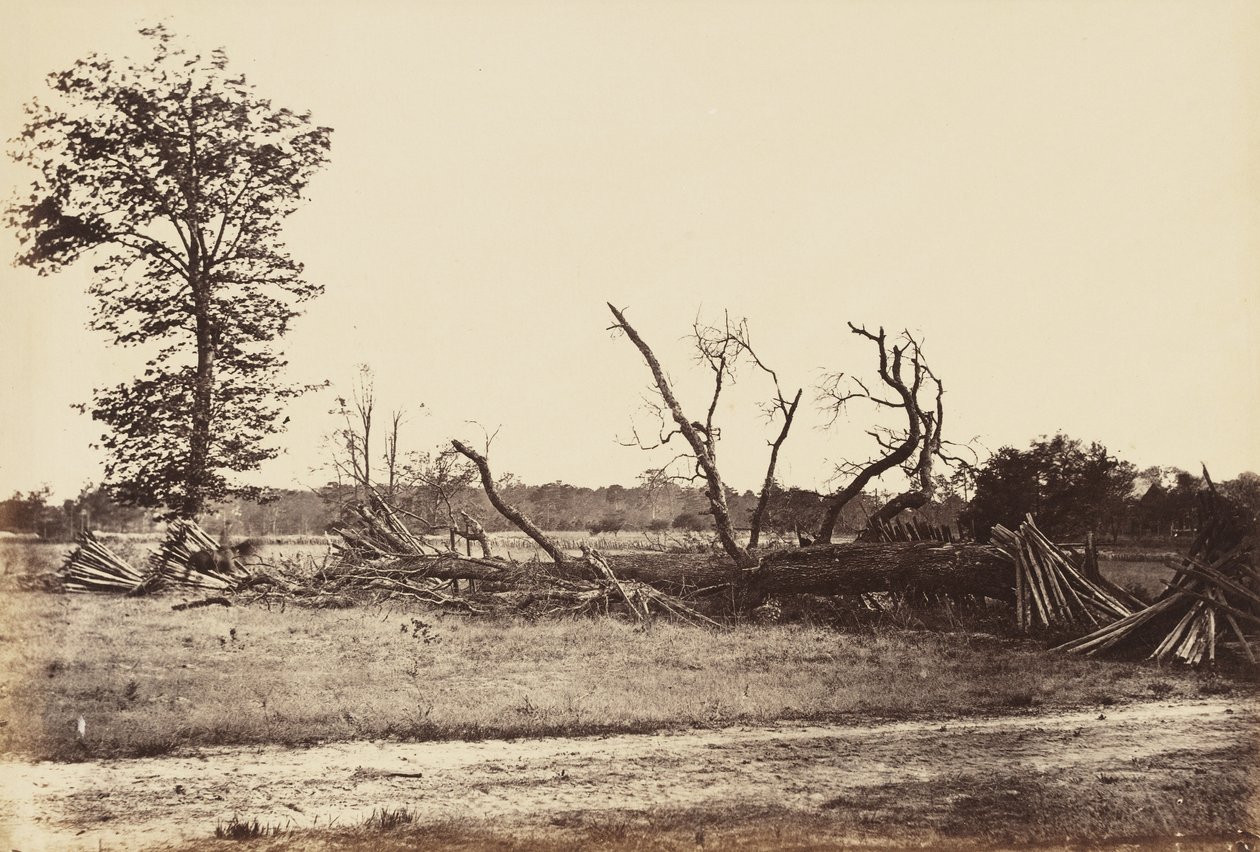Extreme Line of Confederate Works, Cold Harbor., april 1865 (albumintryck monterat på vävt papper) av John Reekie