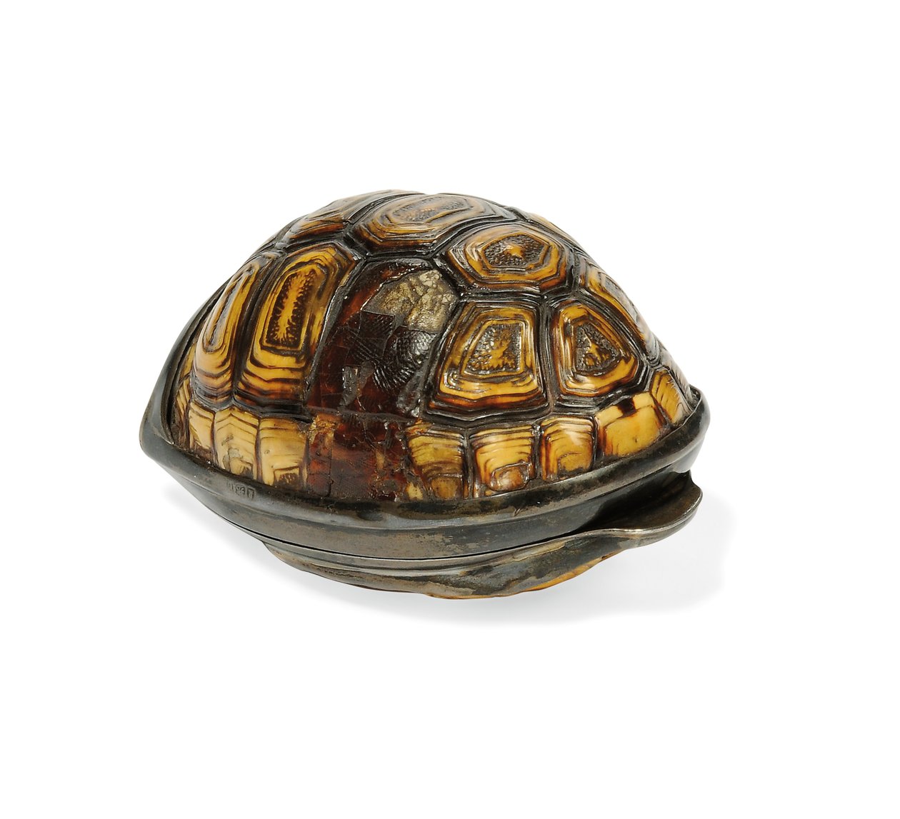 George III terrapin snusdosa, 1817 av John Reily