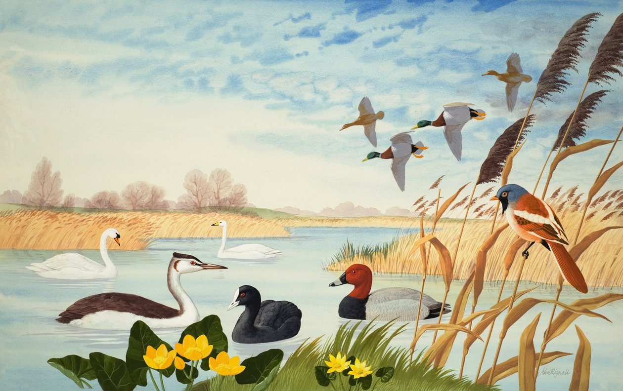 Naturskildring (gouache på papper) av John Rignall