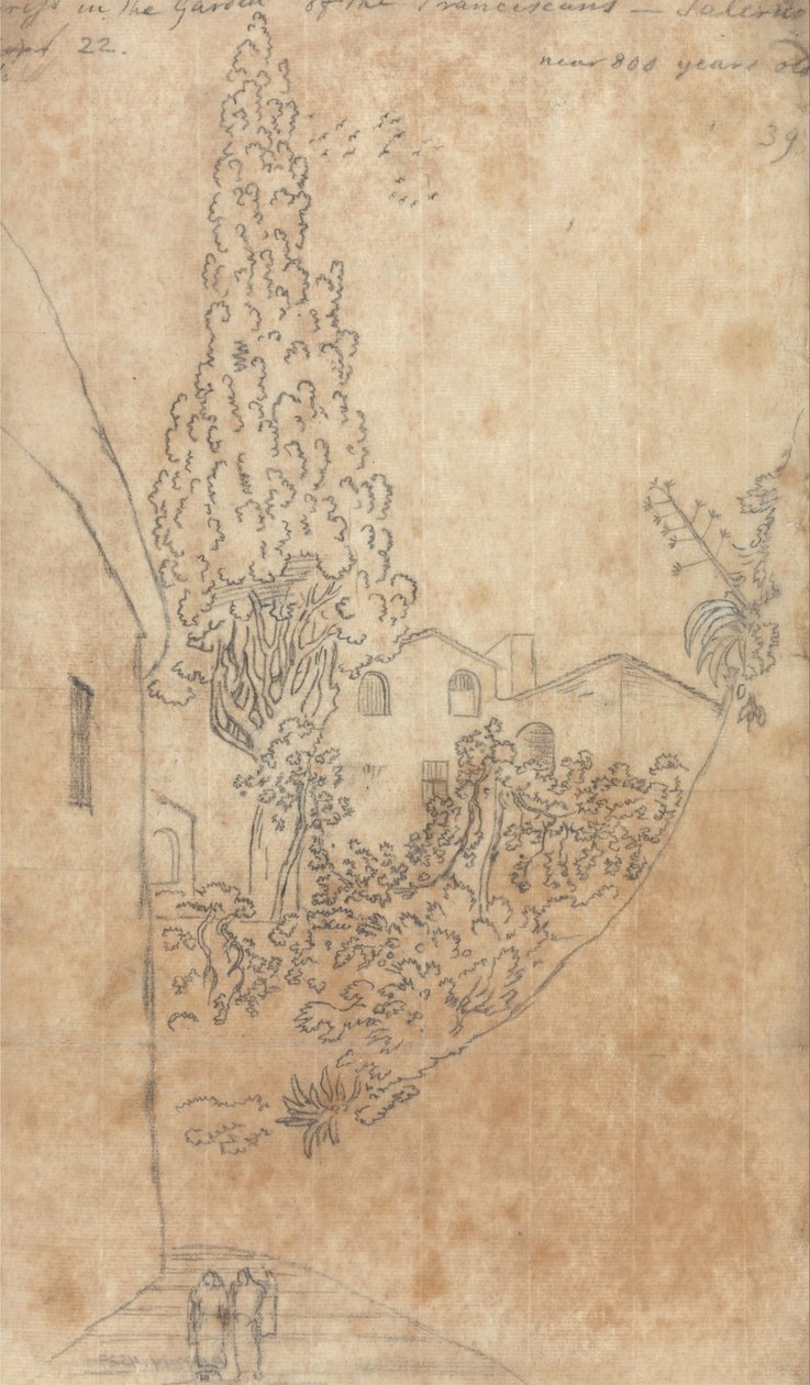 Cypress i franciskanernas trädgård i Salerno av John Robert Cozens