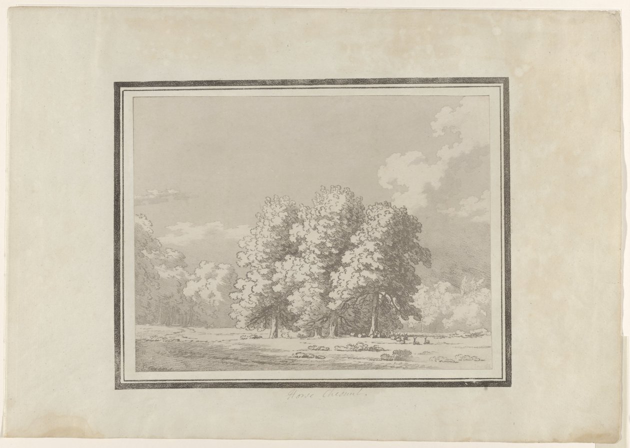 Hästkastanj av John Robert Cozens