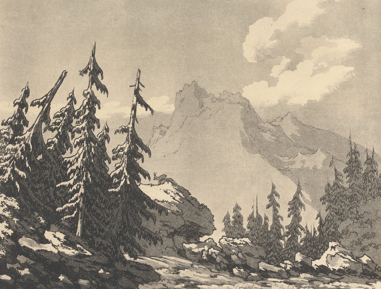 Gran och furu av John Robert Cozens