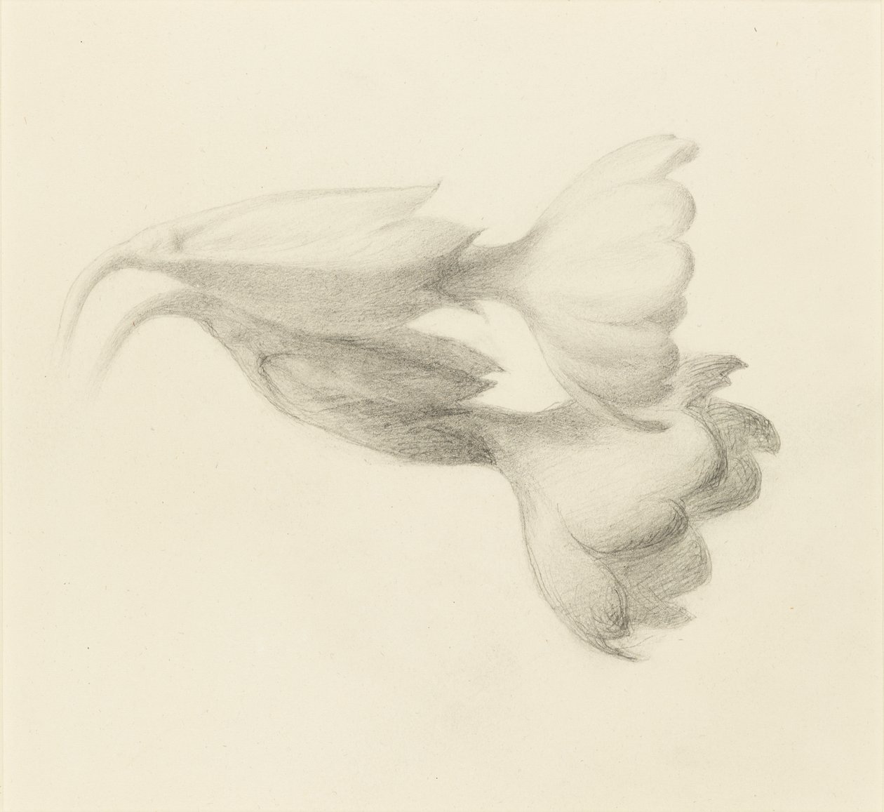 Cowslip Bells, troligen 1871. av John Ruskin