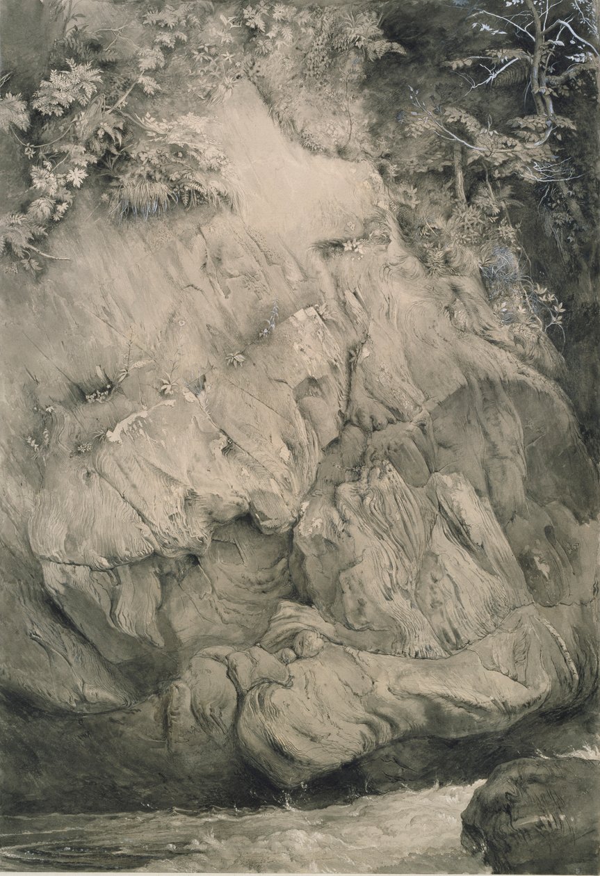 Studie av Gneiss Rock, Glenfinlas, juli 1853-februari 1854 av John Ruskin