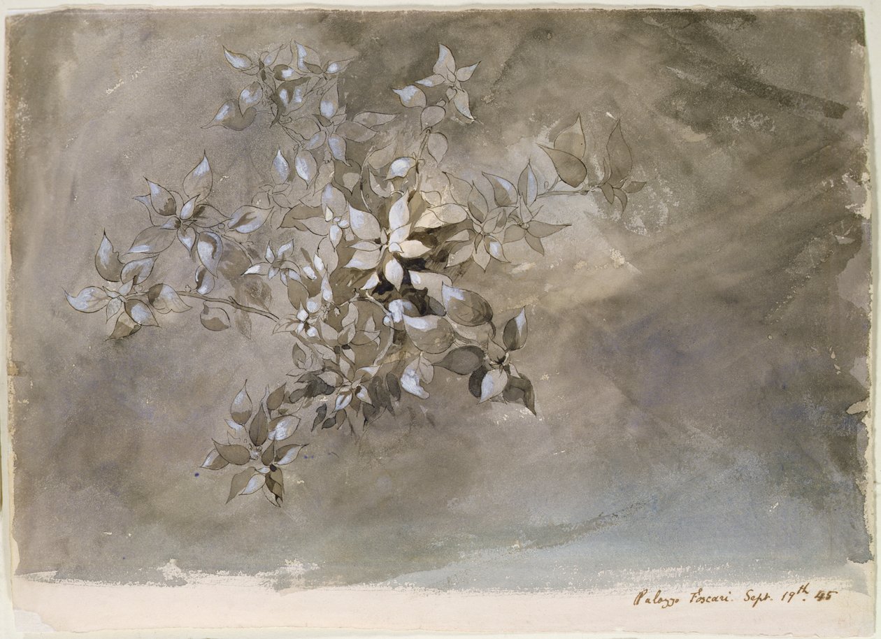 Studie av lövverk av John Ruskin