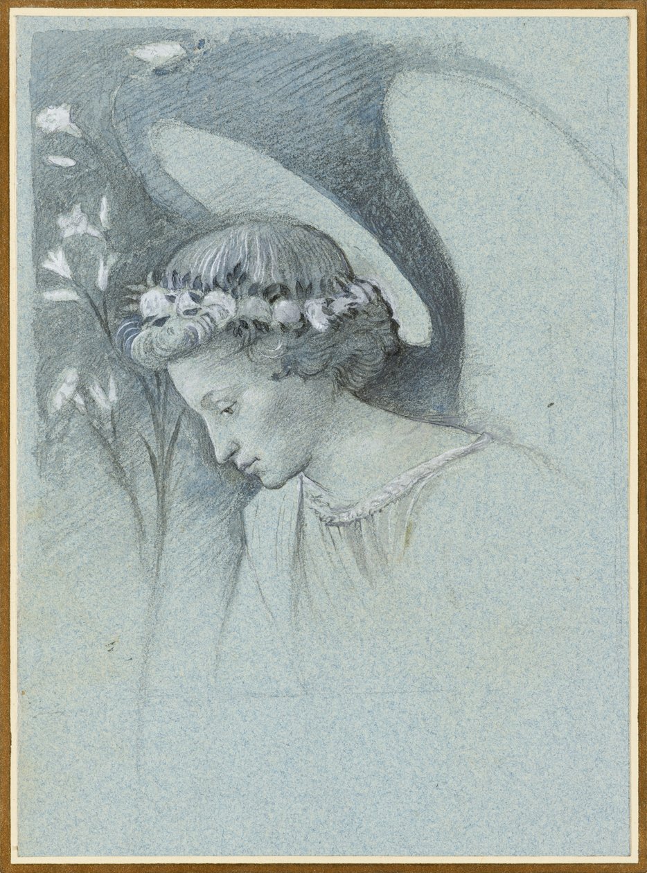 Studie av ängeln Gabriels huvud i Filippo Lippis 