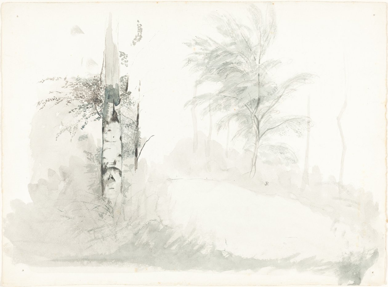 Trädstudie av John Ruskin