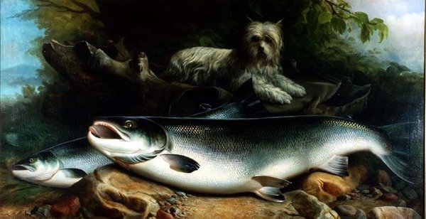 Vakta dagens fångst; en Skye Terrier med en kuk och höna lax av John Russell