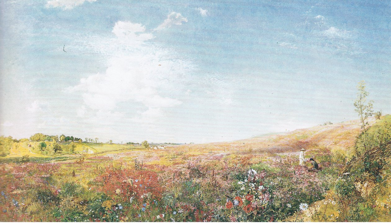 Sommarlandskap av John Samuel Raven