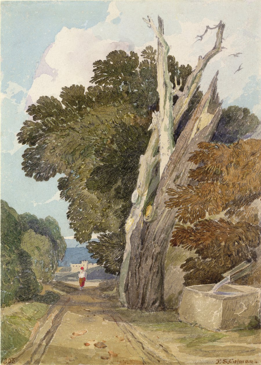 Ett spanskt kastanjträd slagits av blixten (wc & penna på papper) av John Sell Cotman