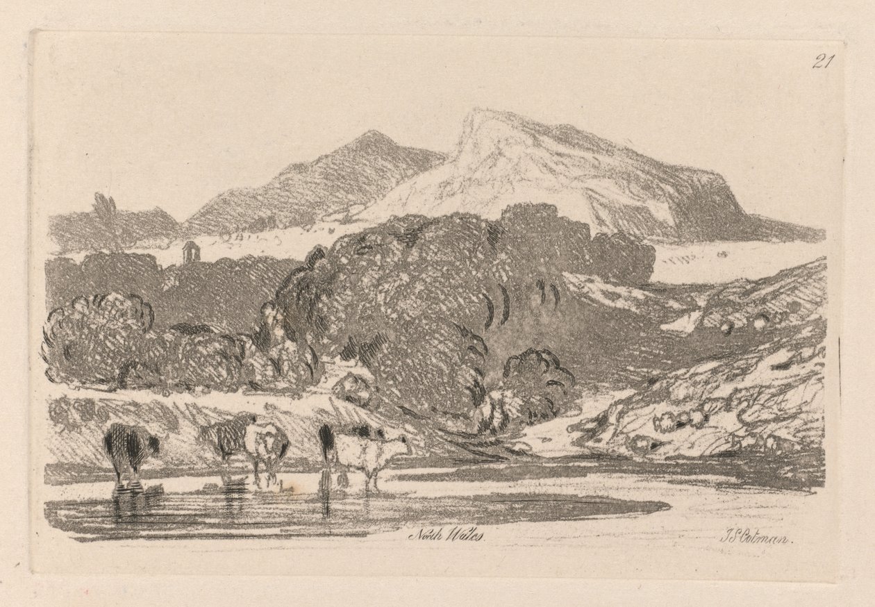 Liber Studiorum: Plate 21, View in North Wales, 1838. av John Sell Cotman