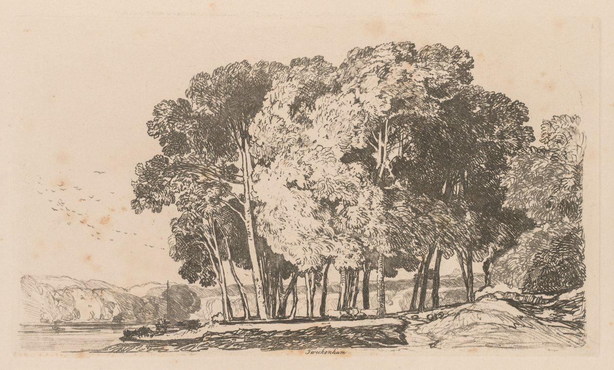 Liber Studiorum: Platta 3, Träd nära Twickenham av John Sell Cotman