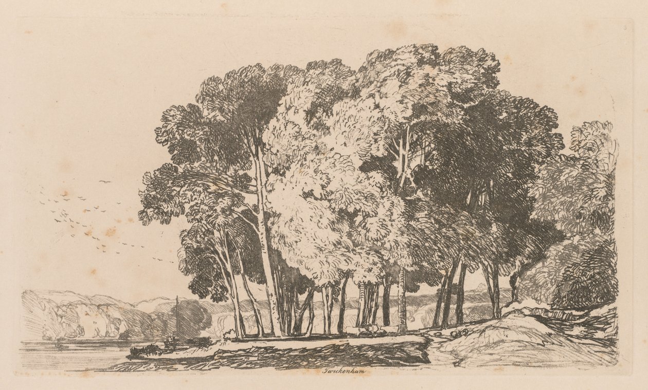 Liber Studiorum: Platta 3, Träd nära Twickenham, 1838. av John Sell Cotman