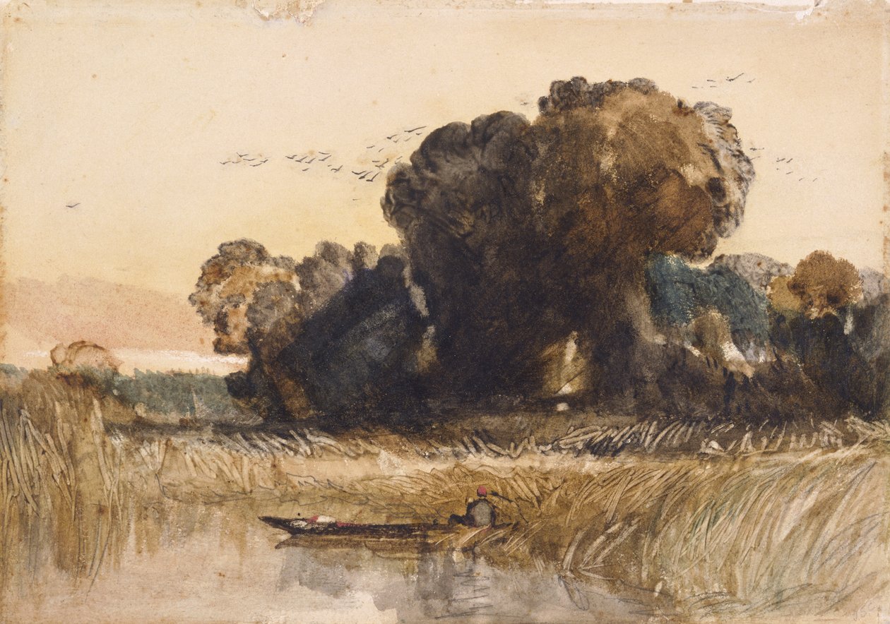 Punt bland vass (akvarell  grafit på papper) av John Sell Cotman